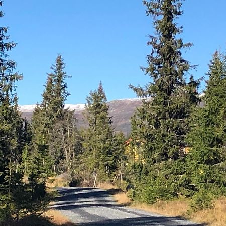 Sykkelhytte Ved Slatten I Synnfjellet Nord Torpa Buitenkant foto