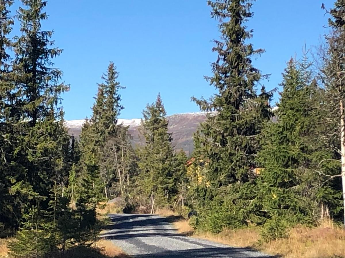 Sykkelhytte Ved Slatten I Synnfjellet Nord Torpa Buitenkant foto
